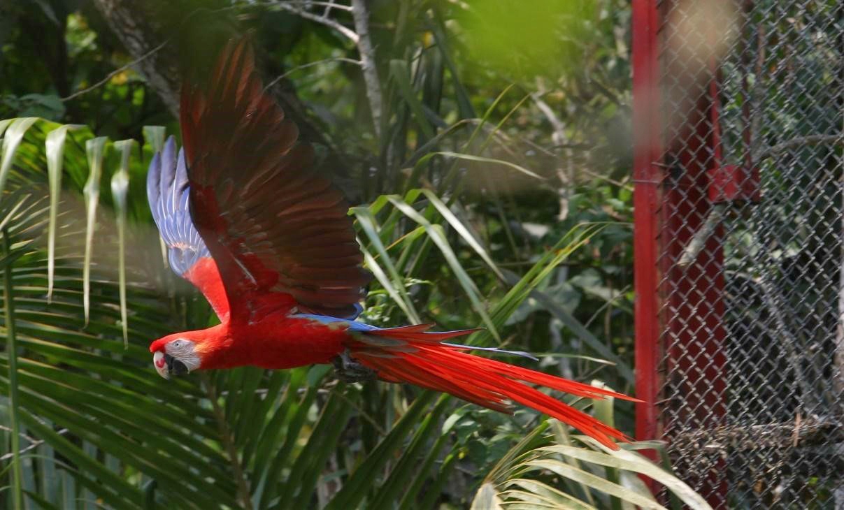 MOMENTO DE LIBERACIÓN EN NANCIYAGA, VERACRUZ